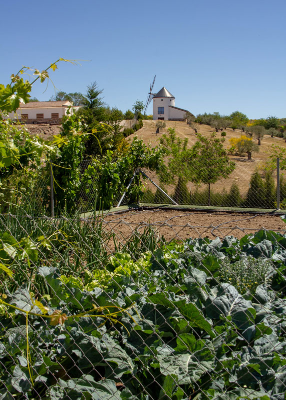 Huerto El Casar de la Inesa