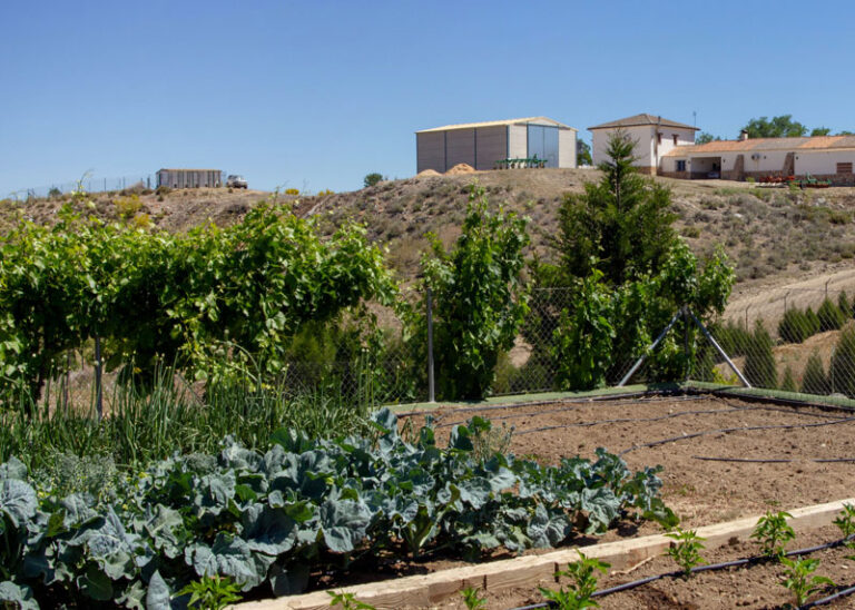 Huerto El Casar de la Inesa